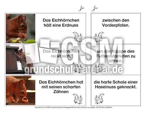 Eichhörnchen-Satzteile-verbinden-einfach 7.pdf